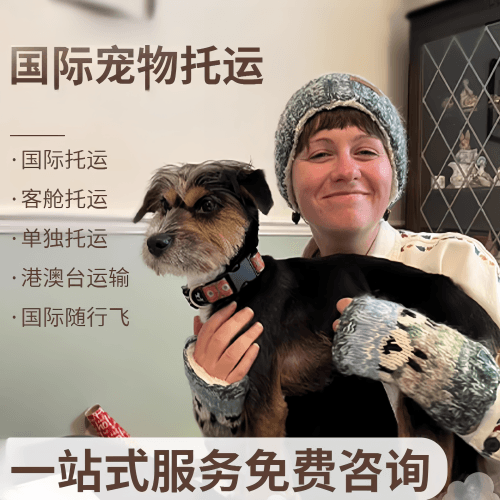 盘锦市国际宠物托运到阿根廷宠物入境规定和要