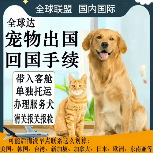 盘锦市宠物托运到柬埔寨宠物入境规定和要求
