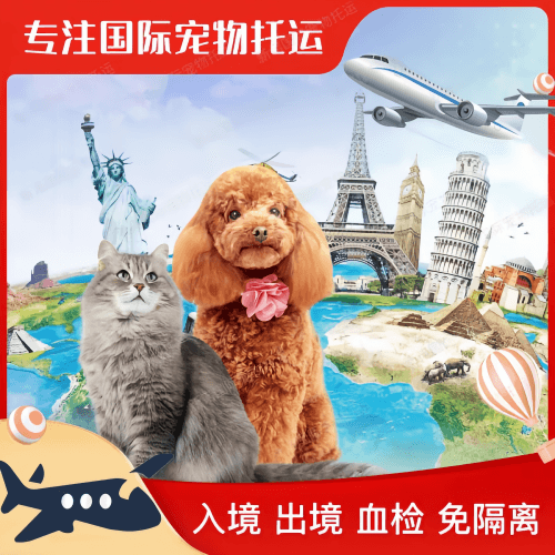 盘锦市宠物托运到美国宠物入境最新规定和要求