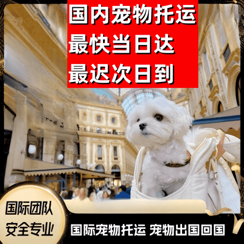 盘锦市到澳大利亚（澳洲）宠物入境规定和要求