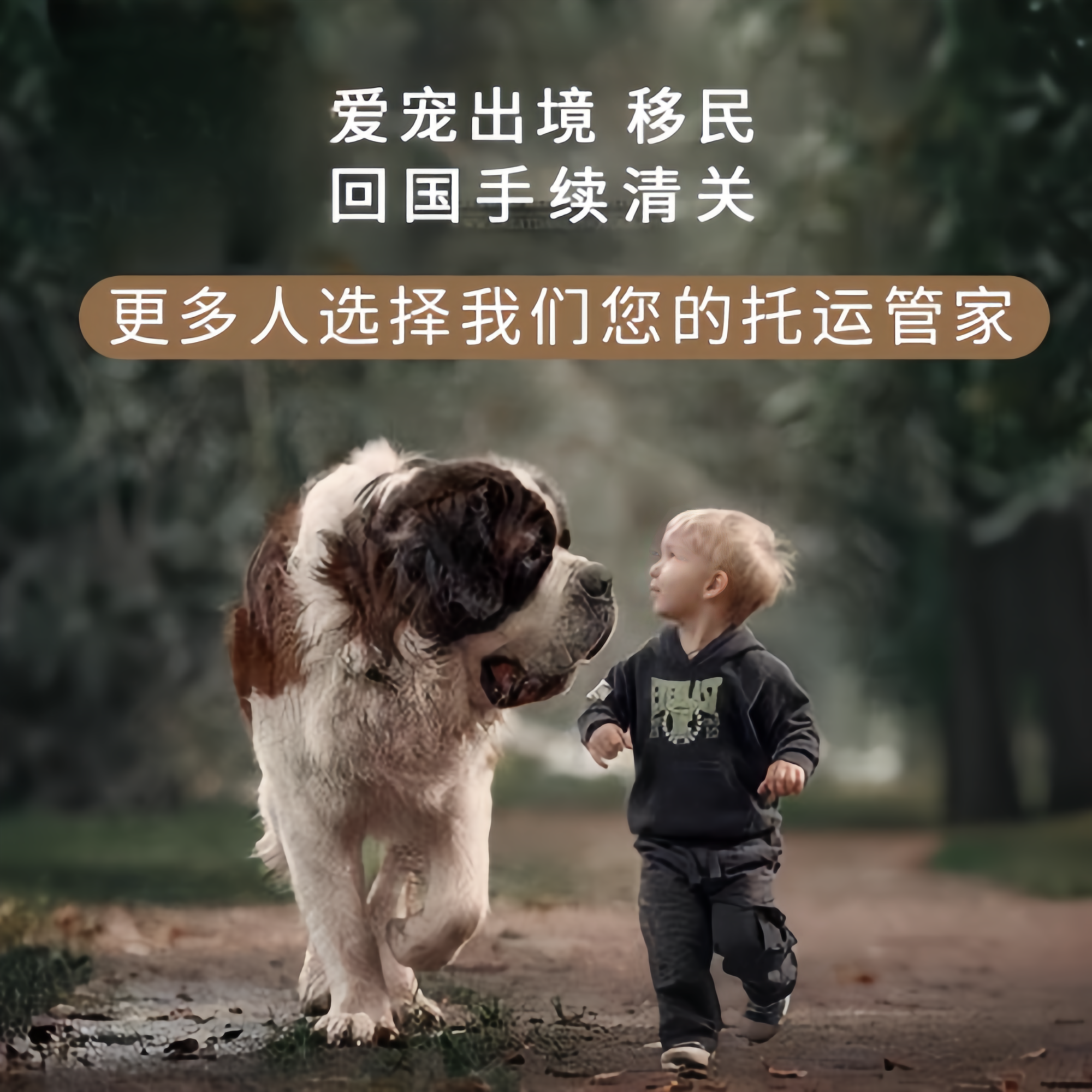 满财盘锦市宠物全球达宠物托运在遵守入境目的地政策的条件