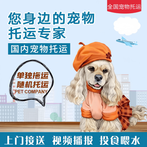 满财盘锦市宠物全球达宠物托运作为专业的宠物运输代理机构